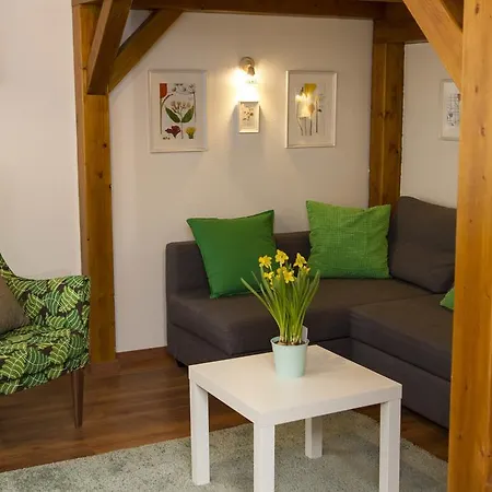 Lägenhet Somogyi Budapest